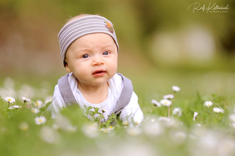 kalbacho-foto - Baby / Kleinkindershooting